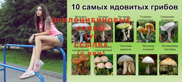 спайс Алексеевка