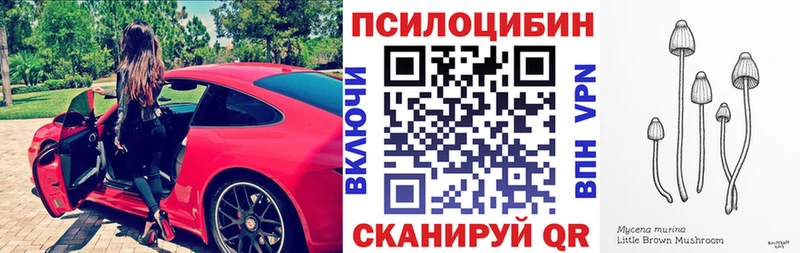 Купить  Менделеевск  Галлюциногенные грибы Magic Shrooms 